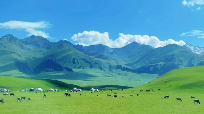 _4_新疆旅行规划师小陈_来自小红书网页版