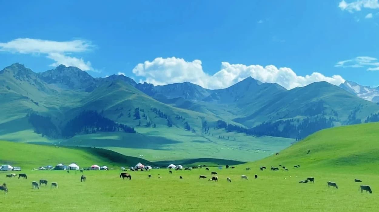 _4_新疆旅行规划师小陈_来自小红书网页版